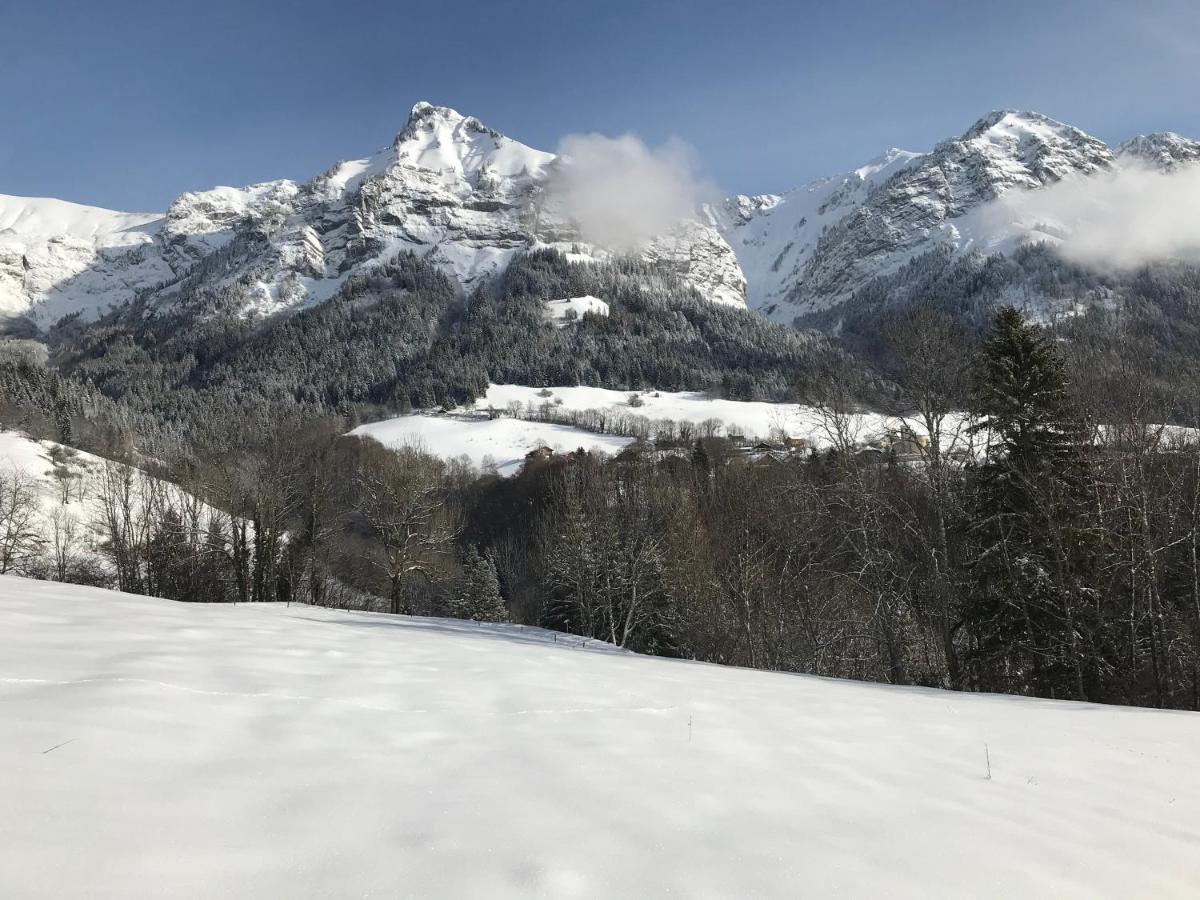 Magnifique T3 Entre Lac Et Montagne Pres D'Annecy Montmin Εξωτερικό φωτογραφία